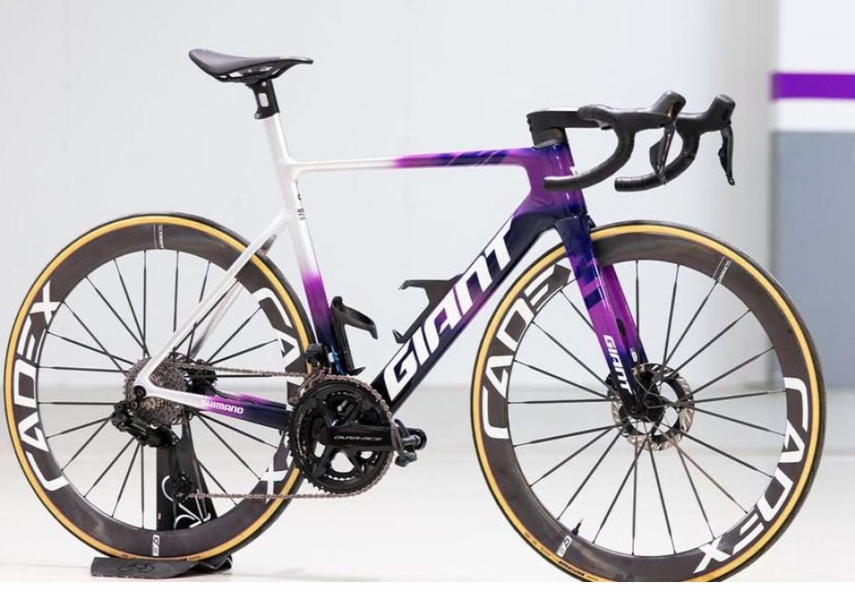Giant TCR TOUR25